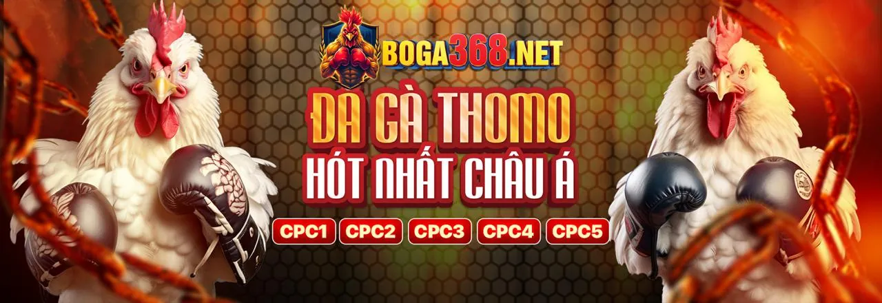 Đá gà trực tuyến kịch tính tại winwin game bài