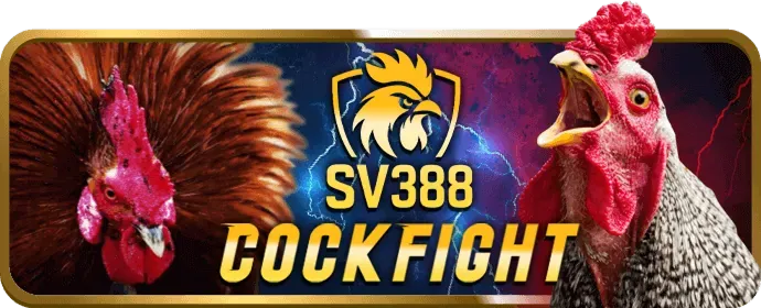 Máy Đánh Bạc Winwin Game Bài